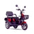 Triciclu electric A6 NEO 800W 60V20Ah